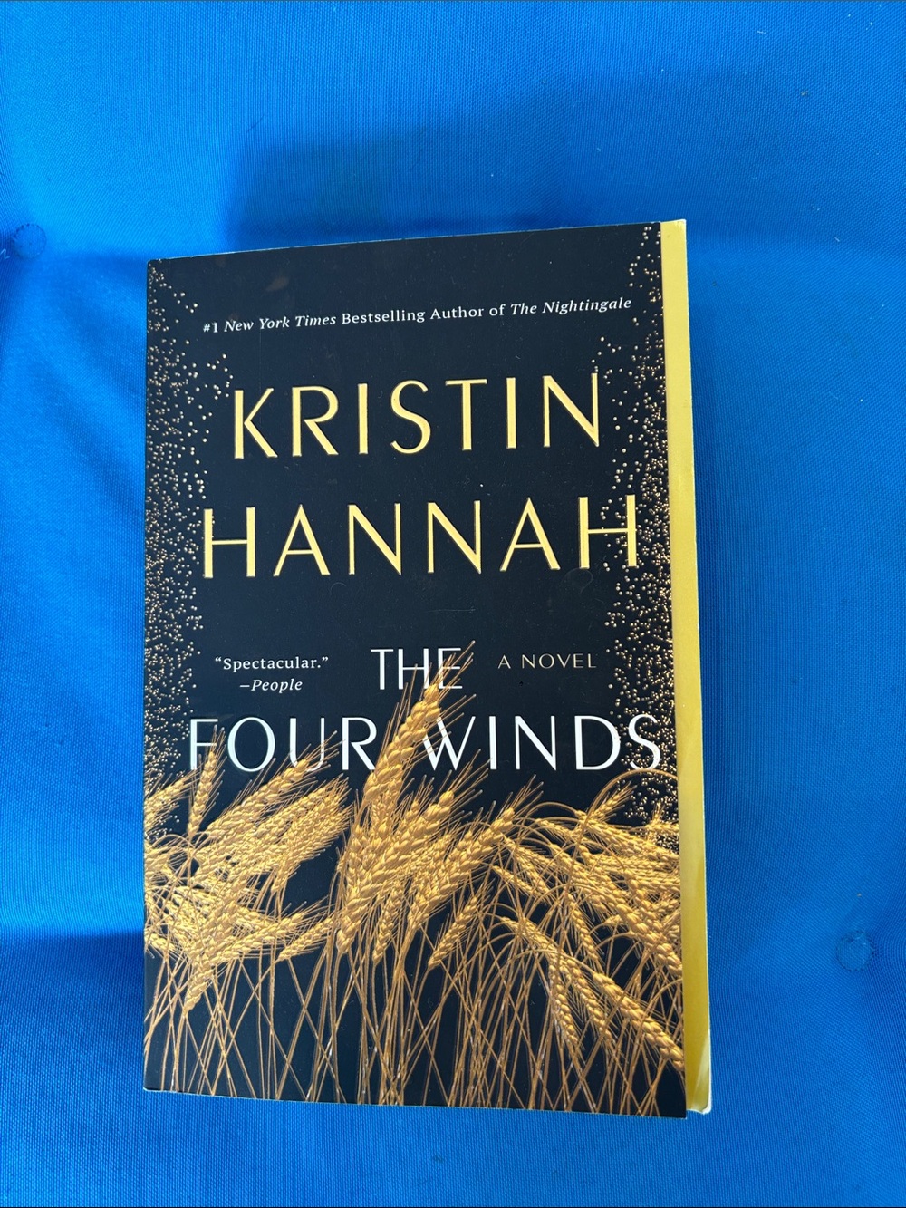 The Four Winds By Kristin Hannah Soft Cover A Novel NWOTS